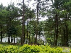 -牛鱼嘴原始生态风景区