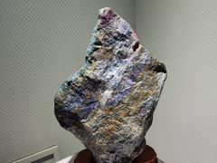 -中国第四纪冰川遗迹陈列馆