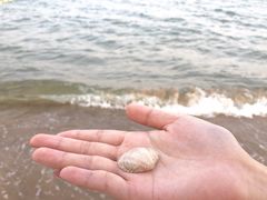 -秦皇岛阿尔卡迪亚滨海度假酒店