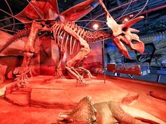 -正佳自然科学博物馆