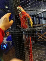 -酷嗒动物文化乐园(cutezoo西溪乐天城店)