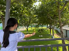 -西霞口神雕山野生动物世界