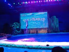 -华夏文旅海洋公园