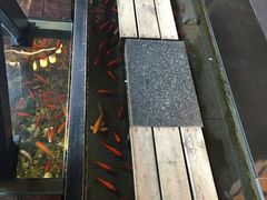 -颐和•海鲜砂锅粥•啫啫煲(奥林匹克广场店)