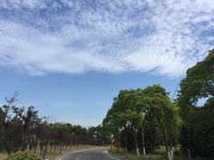 -上海滴水湖皇冠假日酒店