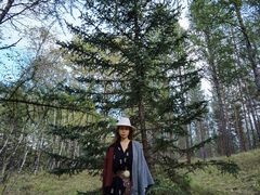 -塞罕坝国家级自然保护区