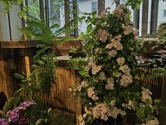 -双季花艺园艺市场(浦东店)