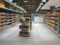 -尼诺伊·阿基诺国际机场T3航站楼