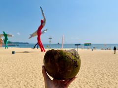 -大梅沙海滨公园