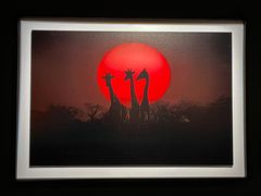 -罗红摄影艺术馆