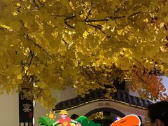 -淀里船宴(裕华东路店)