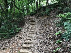 -马王堆汉墓遗址