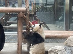 -西安秦岭野生动物园