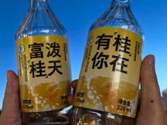 -阳澄湖半岛旅游度假区