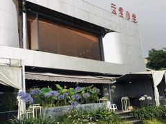 -云里小坐·小院里·团建·宴请·下午茶(三圣乡店)