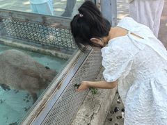 -北大地皖峰饭馆