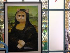 -喵屿·大理花园猫咖