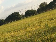 -嘉北郊野公园