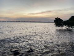 -宝安西湾红树林湿地公园