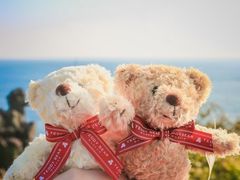 -济州岛泰迪熊博物馆