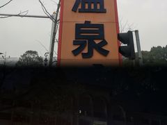 -宜春明月山维景国际温泉度假酒店
