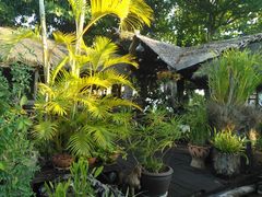 -自然餐厅(Phuket)