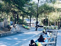 -沂蒙山旅游区云蒙景区(蒙山国家森林公园)