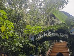 -野象谷景区