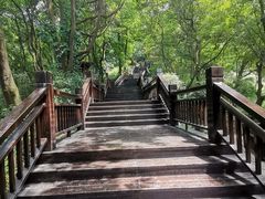 -天鹿湖森林公园