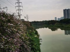 -广东花都湖国家湿地公园