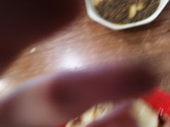 -继红顺河抄手名小吃