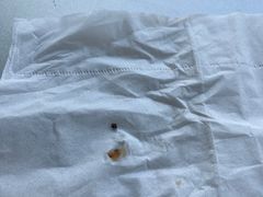 -上海雅居乐万豪侯爵酒店