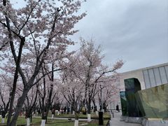 -龙美术馆(西岸馆)