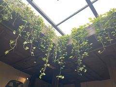 -院子餐厅·大锅菜·老杭帮(桥西直街店)