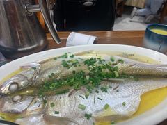 清蒸鲜白鱼-锡和无锡菜(景丽苑店)