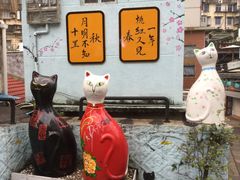 -猫咪博物馆(顶澳仔猫街店)