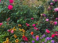 -人民公园(罗湖区)