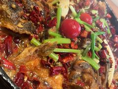 -老板恋上鱼(恒隆广场店)