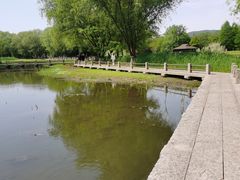 -长广溪湿地公园