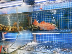 -星记小馆·小蓝龙·老南京砂锅菜(上海路店)