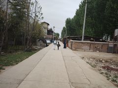 -呀路古热带植物园