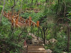 -大岭沟猕猴桃谷风景区