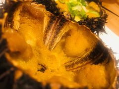 -海胆小馆(东北水饺·春柳店)