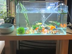 -SPA·印象足道养生(大运河度假区四望亭店)