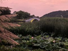 -山水一号·中餐厅