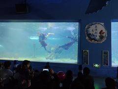 -常州海昌海洋探索馆
