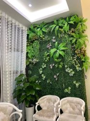 -苗医生草本科技祛痘