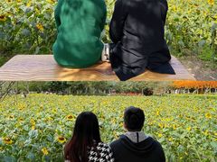 -丹樱生态园