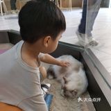 杭州室内动物园[胜利]来看可爱的网红小动物吧