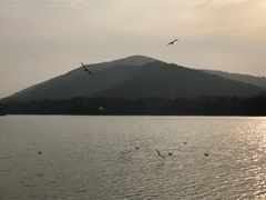 -长广溪湿地公园